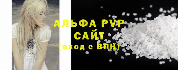 прущие грибы Абаза