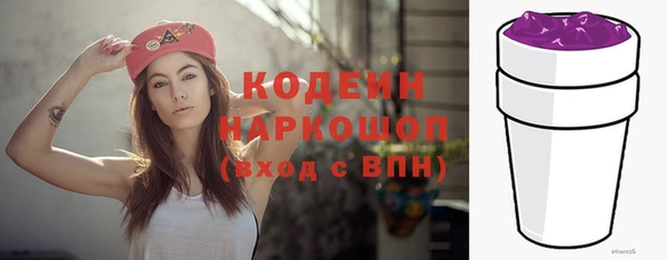 прущие грибы Абаза