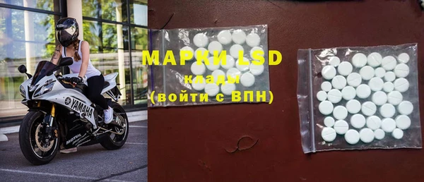 прущие грибы Абаза